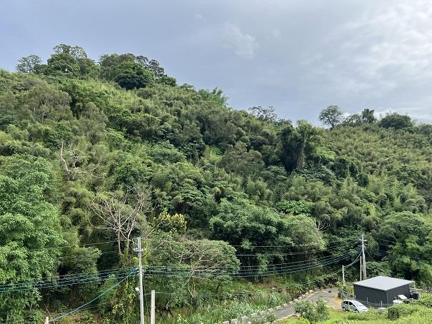 東勢農地-0