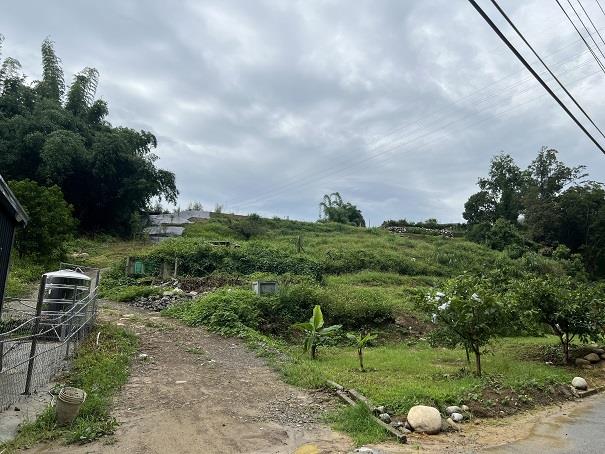 東勢農地-2