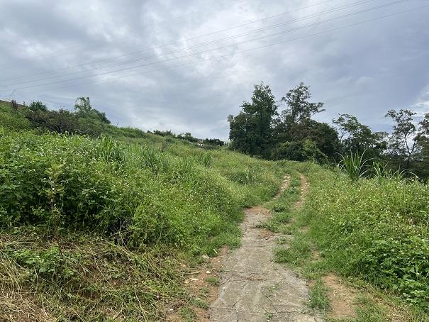 東勢農地-3